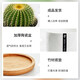 Cactus potted cactus, Wan Zhong Mountain, succulent flowers and green plants, easy to maintain and easy to live, desktop decorations in the office, 1 small original pot of original soil (Wan Zhong Mountain). If you have pot soil at home, you can buy it. Contains a pot.