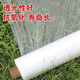 Junmo film plastic film PE film ground film protective film agricultural film construction engineering film concrete curing film white film 2 meters wide 175 meters long / 4.8 Jin Jin equals 0.5 kg / roll