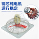 HENGDIAN national standard explosion-proof exhaust fan fan 220v380v axial flow exhaust fan exhaust fan industrial fan 600*600cm voltage 380V