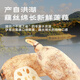 Jingxiansheng Hubei Honghu Fresh Lotus Root Flour Net Weight 4Jin Jin is equal to 0.5kg (packed in 4-6 sections) with mud to lock in freshness. Vegetables are sent directly from the source.