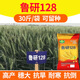 High-yielding wheat seeds Luyan 128 original seed large ears cold-resistant drought-resistant short stem lodging resistance Academy of Agricultural Sciences National Approval Authentic Luyan 128 original authentic one bag 30 Jin Jin equals 0.5 kg