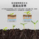 Plant bursting buds, buds, succulent leaf inserts, germination promotion, household flower growing fertilizer, old pile plant clear leaf fertilizer, old pile dry yellow leaves first aid, new buds grow, 2 barrels 5000ml