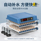 RSRDDY egg incubator household fully automatic small water bed small egg rutin incubator machine intelligence 36 pieces of intelligent single electric temperature + number of days