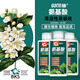 Beco's amino acid promotes the development of strong roots, increases the number of flower buds in plants, and is universal for green plants and flowers. Amino acid 500g*1 bottle