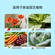Dewoduo organic fertilizer fermented soybean meal flower fertilizer potted plant universal flower special cake fertilizer 2.6Jin Jin equal to 0.5kg