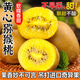 Jia Lumi Yellow Heart Kiwi Fruit Henan Xixia Kiwi Fruit Fresh Seasonal Fruit Fresh Fruit Gift Box 12 Pieces (Single Fruit 50-70g)