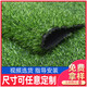Simulated lawn carpet, artificial artificial turf, green outdoor decoration, fake grass plastic mat, balcony kindergarten, 2cm thickened spring grass (1m wide*6m long)