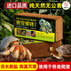 Original starting point coconut bricks for reptiles and hermit crabs, special turtle hamster bedding, coconut chaff moss hibernation supplies, reptile moisturizing warm coconut soil, thermal insulation, moisturizing and desalination, 1 piece of coconut bricks for reptiles