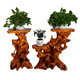 Gujia [Venta directa oficial] Basquillo de flores de madera sólida Base de tallado de raíz natural Log sala de estar chino Bonsai Fish Tare Tree Root Art Dark Green 15907