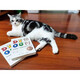 
Xinhua genuine version of know: DISC knowledge that affects your life SN7214SN9734