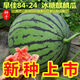 8424 Kirin small-seeded watermelon seeds, seedless, extra large, high-yielding, giant sweet king, southern four-season vegetable and fruit seeds. 8424 watermelon seeds/pack, about 50 pieces, 3 packs