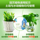 Dewoduo plant nutrient solution universal flower fertilizer green radish fortune tree rich bamboo succulent rose hydroponic green plant flower fertilizer nutrient solution 2.5L bottle