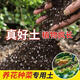 Universal plant nutrient soil for flower cultivation, succulent pothos seedlings, flower fertilizer soil, flower organic soil 5 Jin Jin is equal to 0.5 kg, selected high-grade nutrient soil, universal type