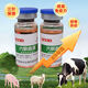 LISM veterinary six-link serum immunoglobulin nucleic acid interferon mixed infection antiviral three-shot health care