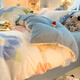 NanJiren (NanJiren) milk velvet four-piece autumn and winter thickened bed sheet and quilt cover double-sided plus velvet quilt cover and student dormitory three-piece set colorful flower + baby blue heat storage and warmth 1.5m bed sheet four-piece quilt cover 200*230