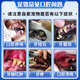 Jingutou dog dental calculus removal magic tool, softening and cleaning spray, removes bad breath and tartar, dental oral anti-inflammatory plaque Teddy, one bottle, removes calculus, buy more, get more, no discount, dog tooth cleaning water dissolves tartar