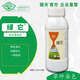 Guoguang Green Turf Lawn Dye Phthalocyanine Green Color Really Adhesive and Long-lasting It Turns Green in One Spray Official Authentic 500ml*1 Bottle