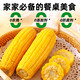 Kaiyuan Baofeng New Northeast Yellow Waxy Corn on the Cob Vacuum-packed Yellow Waxy Corn Fresh First-Stubble Breakfast Meal Replacement 4 first-crop yellow waxy corn average weight >180g
