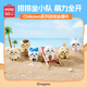 MINISO Chiikawa series of row-by-seat ornaments, blind box figures, desktop ornaments, toys, birthday gifts for men and women, Usaki