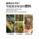 Urea Fertilizer Quick-acting Nitrogen Fertilizer Agricultural Compound Fertilizer Vegetables and Flowers Flower Fertilizer Green Planting Vegetables and Fruit Trees Chemical Fertilizer 100Jin Jin is equal to 0.5kg Trial Pack/100g Small Particle Urea High Purity