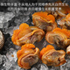 Zhuangyuanhai Dalian red clam meat 1 Jin Jin is equal to 0.5 kilograms, freshly peeled clam meat, blood clam meat, fresh, clean and sand-free, straight from the source