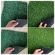 Lezijun simulated artificial turf carpet outdoor turf green decoration green plant engineering kindergarten mat 1 military backless 2*25