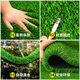 Qingya simulated lawn carpet, fake turf bedding, plastic outdoor artificial court, artificial fence, kindergarten green floor mat, 3 cm, newly upgraded 11-pin encryption, high-quality B-grade model (1 meter wide, 6 meters long) 6 square meters