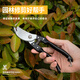 Deli (deli) pruning Teflon scissors pruning shears fruit tree pruning branches garden flowers special scissors floral gardening scissors 14mm gardening twig pruning shears-DL580200