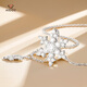 Aido Diamond pt950 platinum snowflake necklace for women, fashionable platinum inlaid moissanite chain set, light luxury gift, platinum snowflake necklace (inlaid with moissanite)