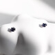 Everlasting Leaf Tanzanite ISLANDIO Natural 3mm Sapphire Stud Earrings London Tanzanite Blue 4mm丨Silver Pair