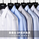 Mulberry silk DP ready-made no-iron shirt men's long-sleeved high-end business men's light luxury white shirt men's wholesale light blue small plaid 39 120Jin Jin is equal to 0.5kg -130Jin Jin is equal to 0.5kg