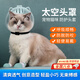 Tanbeiman cat hood cat hood clipper nail anti-scratch artifact anti-biting and anti-licking hood Elizabethan circle bath artifact L size hood suitable for 10-15 Jin Jin equals 0.5 kg big cats