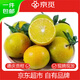 Jingmi Authentic Deqing Emperor Mandarin Fresh Fruit Tribute Mandarin Net 8.8Jin Jin equals 0.5kg Guangdong Single Fruit 60mm+ Straight from the Source