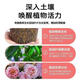 Plant bursting buds, buds, succulent leaf inserts, germination promotion, household flower growing fertilizer, old pile plant clear leaf fertilizer, old pile dry yellow leaves first aid, new buds grow, 2 barrels 5000ml