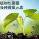 Imported from Russia, organic fertilizer, compound fertilizer, potassium sulfate fertilizer, vegetable fertilizer, flower fertilizer, fruit tree nutritional fertilizer 50Jin Jin is equal to 0.5kg (shipped in separate packages, please do not take photos if you mind)