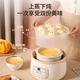 LOTOR multi-function electric stew pot, household water-proof stew pot, small capacity soup pot, bird's nest stew pot, stew pot, baby porridge artifact D1 steamer