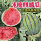 Watermelon set, watermelon seeds, watermelon balcony potted farmhouse garden melon seeds, various types of rock sugar unicorn watermelon seeds, 1 pack, about 50 pieces