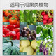 Stanley compound fertilizer 100 Jin Jin is equal to 0.5 kg. Agricultural fertilizer 50 Jin Jin is equal to 0.5 kg. Agricultural fertilizer, vegetable flower fertilizer, nitrogen, phosphorus, potassium, flower and fruit tree special type. 10 Jin Jin is equal to 0.5 kg. *Authentic product* Subcontracted delivery