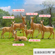 Bizhuo outdoor fiberglass simulation animal Tibetan antelope ornaments garden landscape sculpture park community lawn pasture decoration combination 1