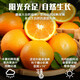 京地达江西赣南脐橙子新鲜水果节日送礼净重9斤单果230g+源头直发包邮