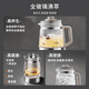 Joyoung Boiling Health Pot Full Glass 1.8L Tea Maker 316L Double Steel Extended Tea Basket Light Stewing 0 Glue 0 Odor 0 Heavy Metal Household Electric Kettle 18WY20R 1.8L