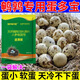 Luan magnetic quail egg-laying king, egg-increasing treasure quail, special egg-stimulating and egg-laying material to supplement nutrition and enhance physical fitness, quail eggs are abundant, quails lay eggs fiercely, 3 bags, lay eggs every day