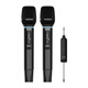 Philips CSS1460 portable wireless microphone handheld microphone outdoor audio karaoke sound card live broadcast home singing universal microphone home ktv conference speaker charging U segment bel canto karaoke microphone 2 pieces (for use with audio/sound card)