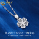 China Gold (CHINA GOLD) PT950 platinum five-leaf clover pendant for women new platinum clavicle Valentine's Day birthday gift for girlfriend and wife Platinum five-leaf clover pendant about 2.2g free silver chain
