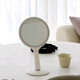 LED cosmetic mirror with light for skin management beauty salon, double-sided mirror, portable desktop hand-held light-filling mirror with logo, hand-held swinging mirror Fila