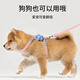 Hanhan Paradise Cat Rope Cat Traction Rope Collar Anti-Escape Cat Rope Chain Rabbit Pet Harness Collar Blue S