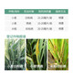 Bonsec 30% phenylpropiconazole fungicide sheath blight leaf spot rust rice smut rice vegetable pesticide