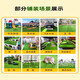 Fake lawn simulated artificial turf plastic green carpet rooftop balcony roof sun room villa courtyard outdoor 2.5cm thickened extra dense spring grass 1.5m wide 7m long manual cutting