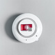 Gangqi PS-816 LORA temperature-sensing smoke alarm fire-fighting wireless matching host smoke-sensing fire detection home warehouse hotel battery model