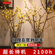 Linya wax plum flowers water-cultured fresh-cut flowers wax plum New Year's Eve flowers hydroponic plants with buds 80cm 12 branches straight from the source